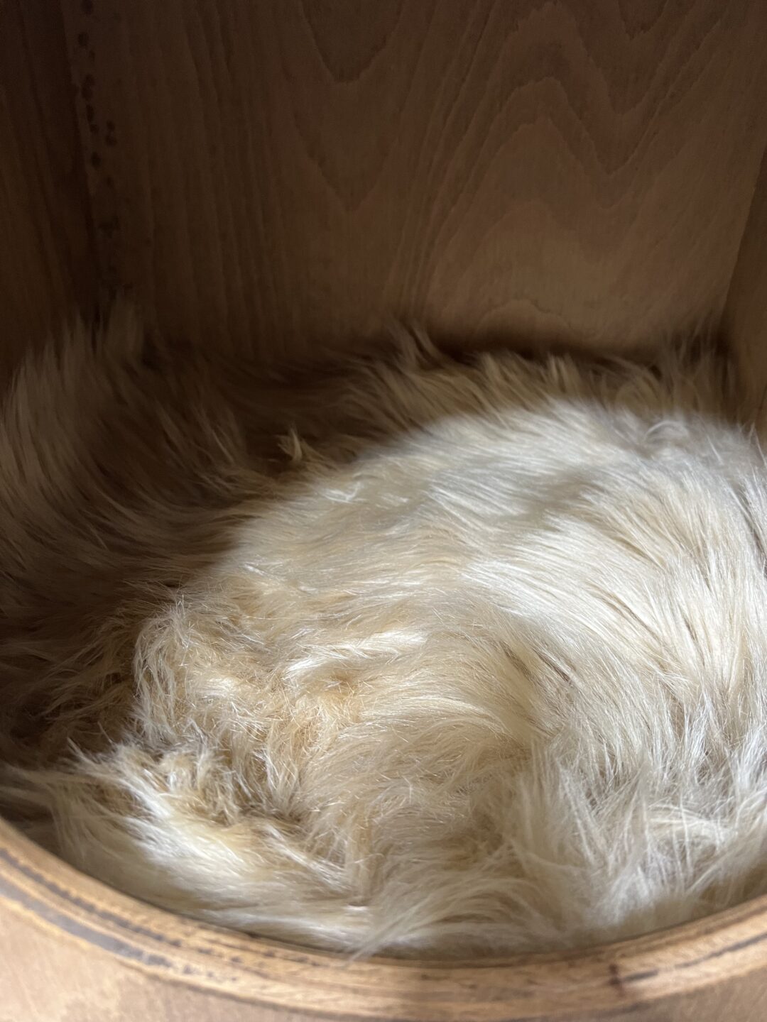 Boudička pro kočky s kožešinou uvnitř (sametová) - Image 3