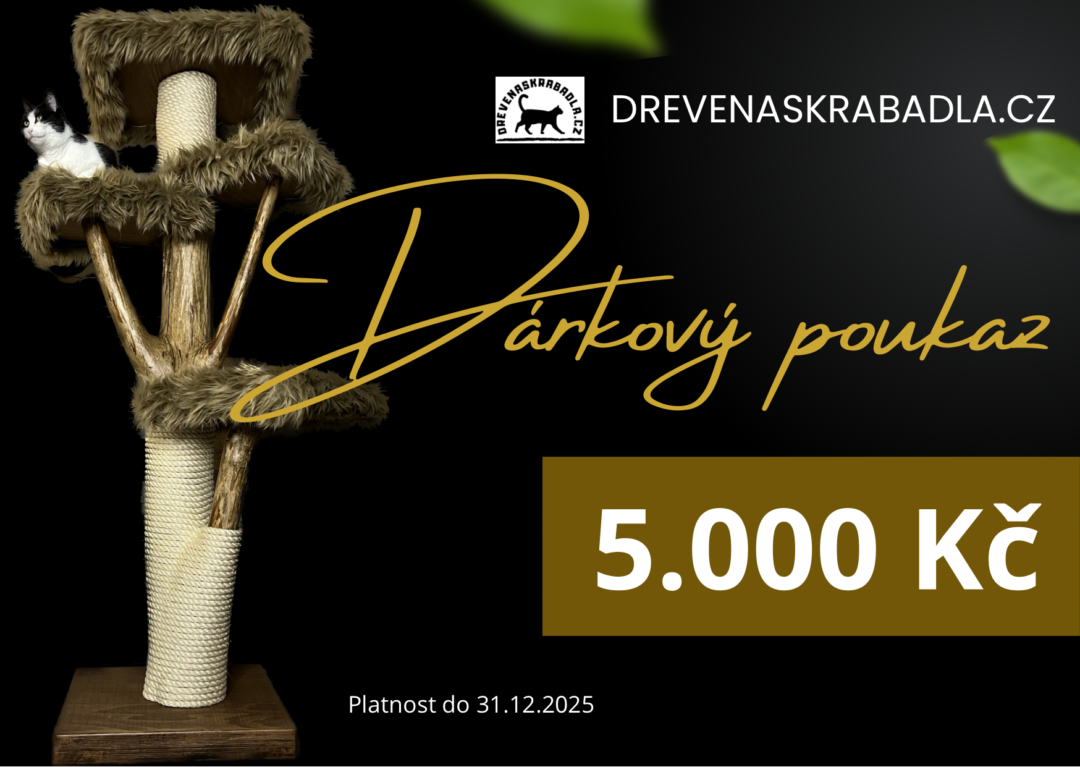 Dárkový poukaz 5000 Kč