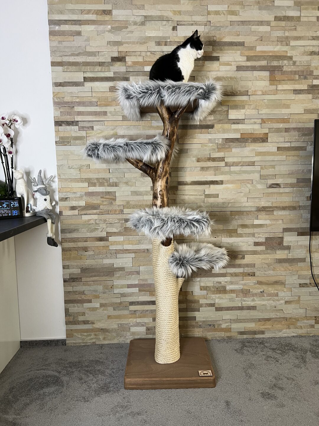 Kočičí strom Kaskáda - Image 3