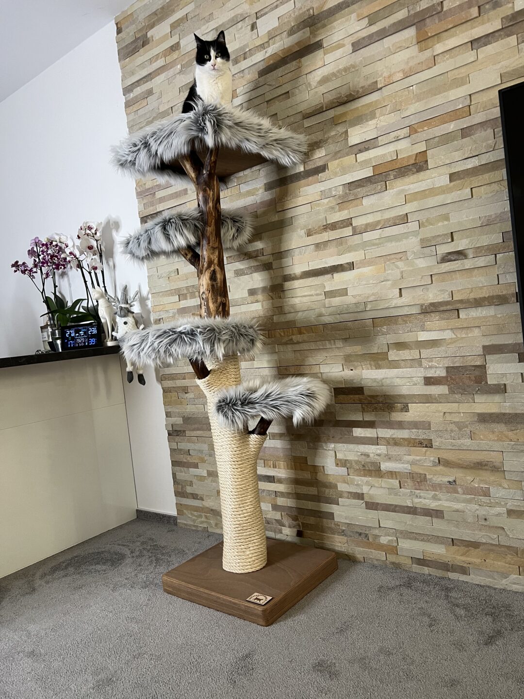 Kočičí strom Kaskáda - Image 5