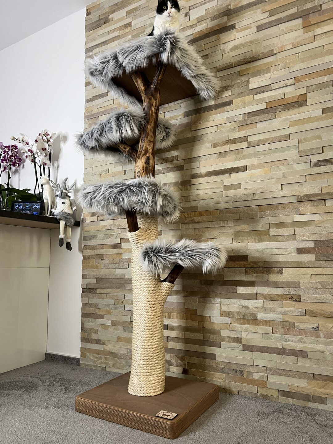 Kočičí strom Kaskáda - Image 7