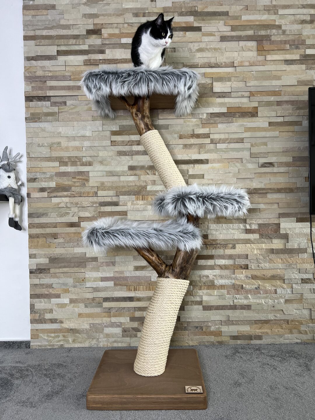Kočičí strom Pyramida