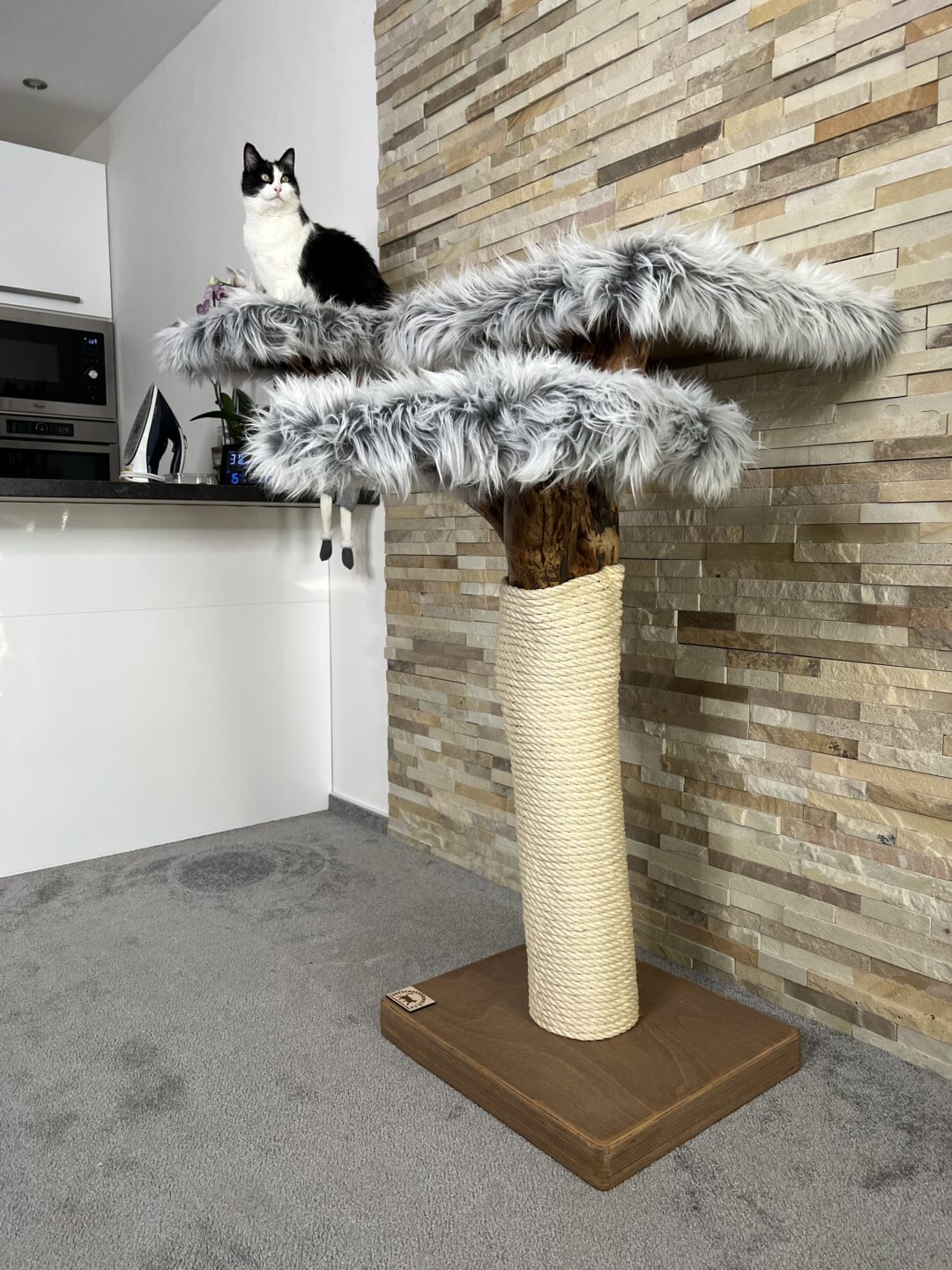 Kočičí strom Pinokijo - Image 3