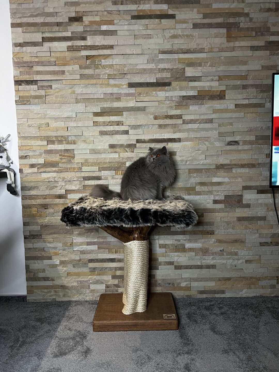 Kočičí strom Jirka - Image 3