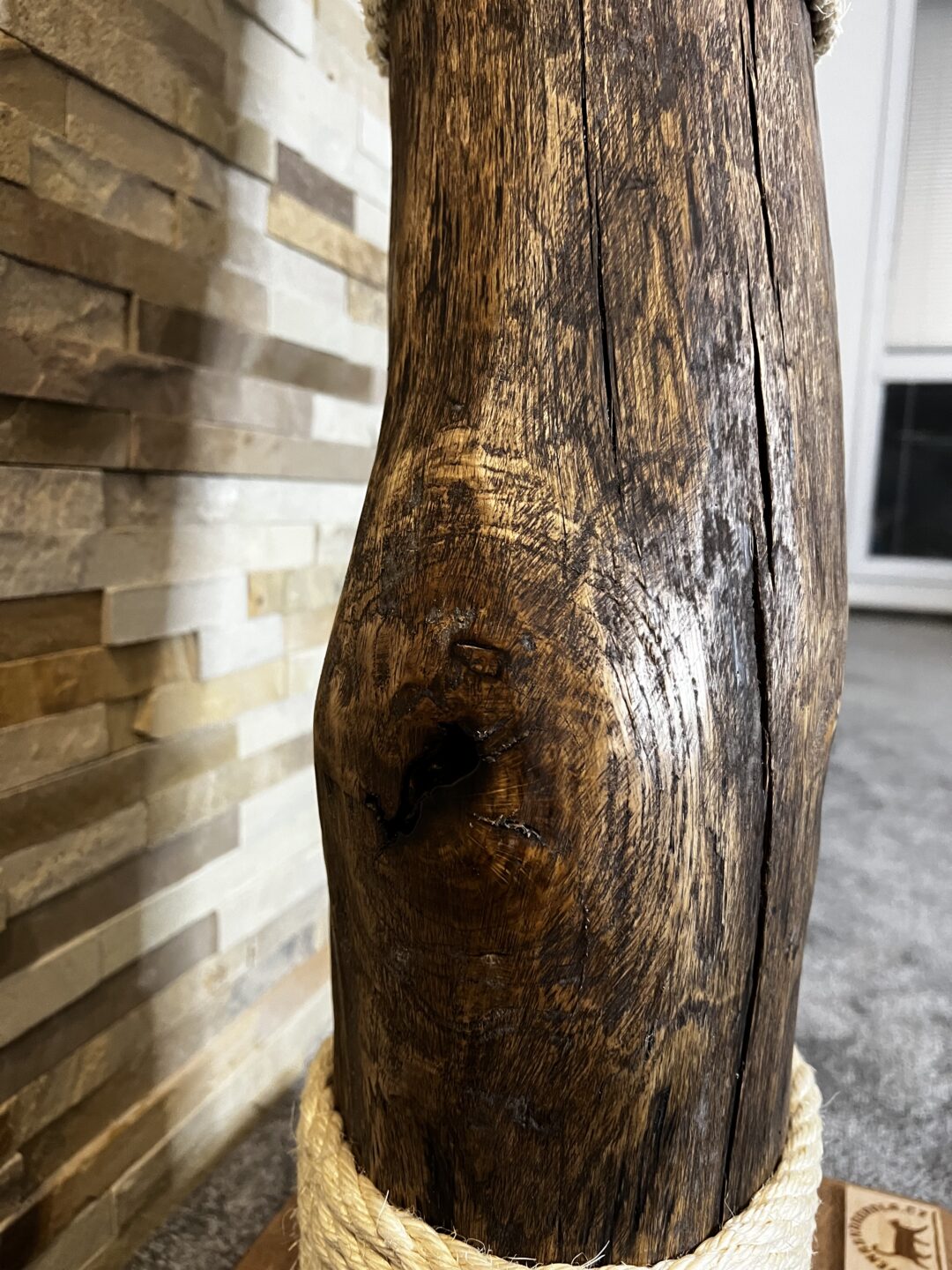 Kočičí strom Cigárko - Image 7