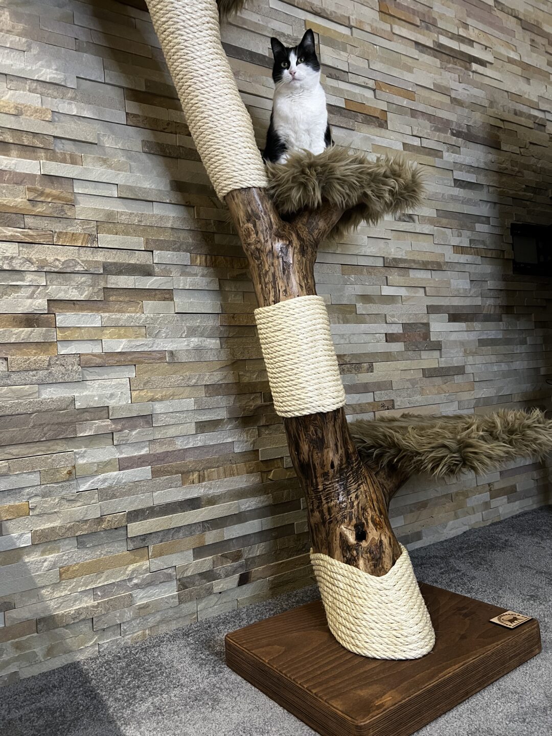 Kočičí strom Milan - Image 7