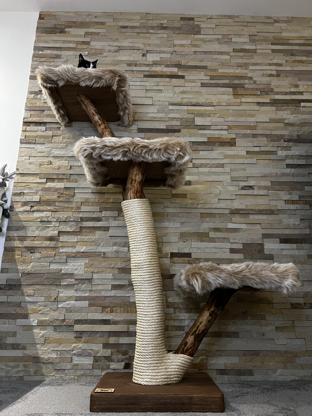 Kočičí strom Terezka - Image 6