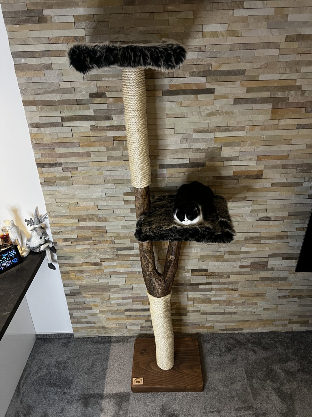 Kočičí strom Nudlička - Image 8