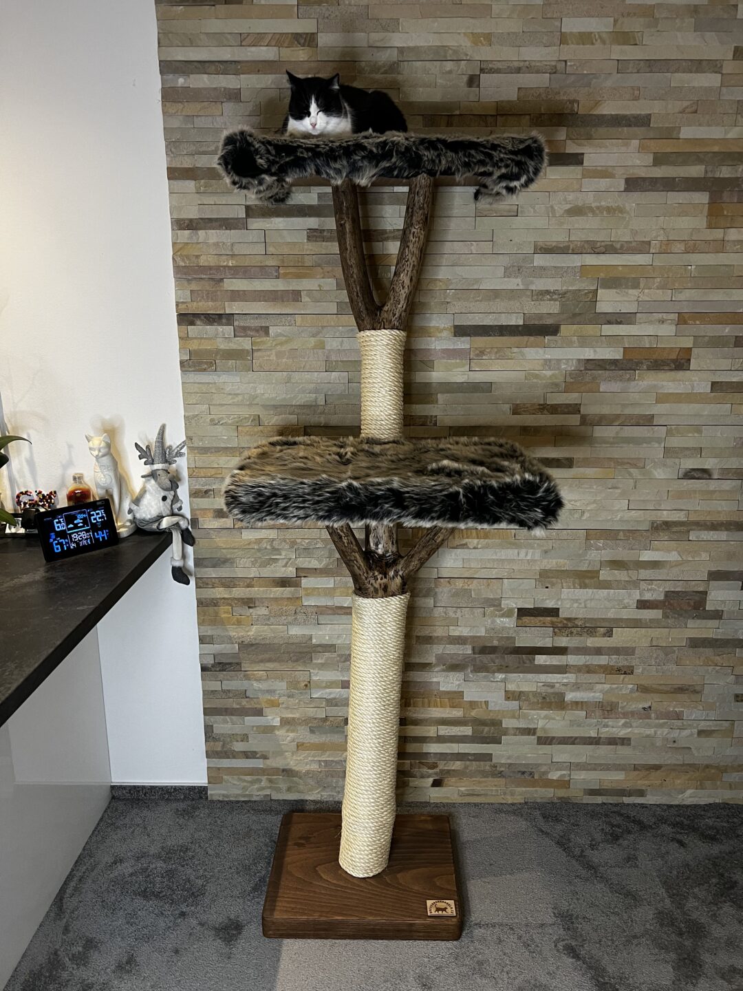 Kočičí strom Standa - Image 3