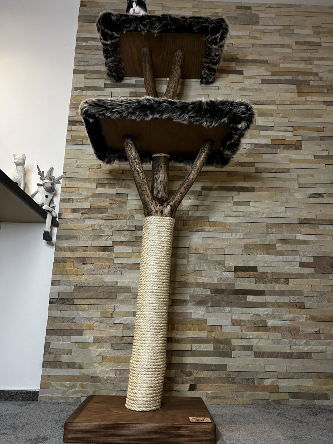 Kočičí strom Standa - Image 6