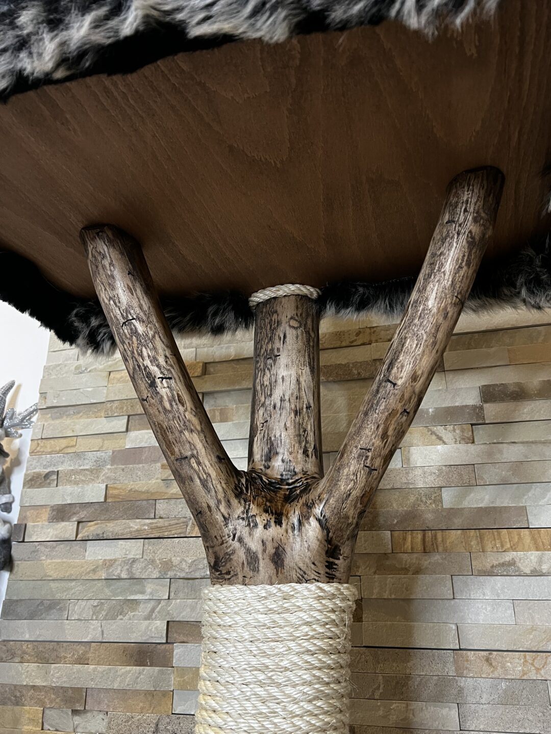 Kočičí strom Standa - Image 7