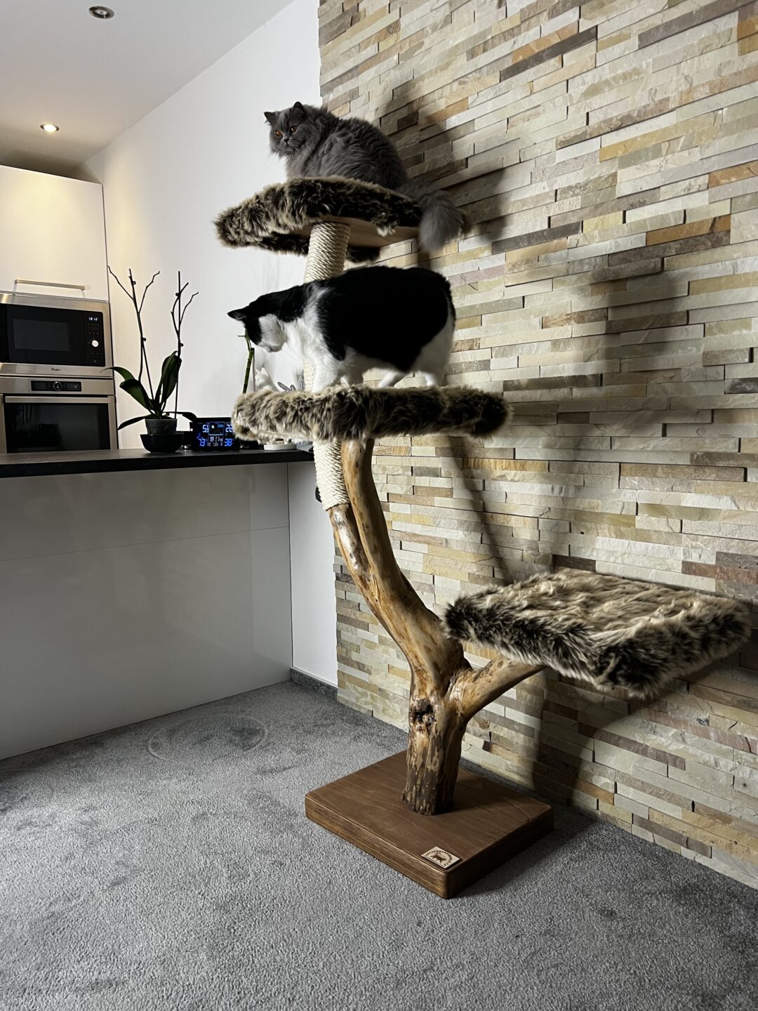 Kočičí strom Pája - Image 3