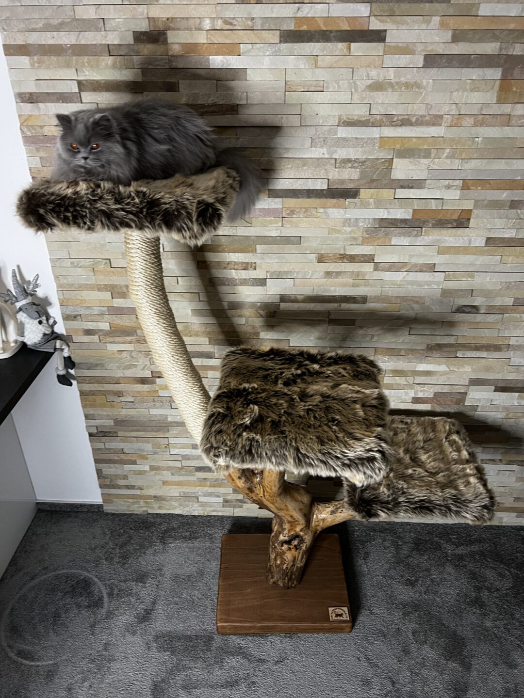 Kočičí strom Pája - Image 7