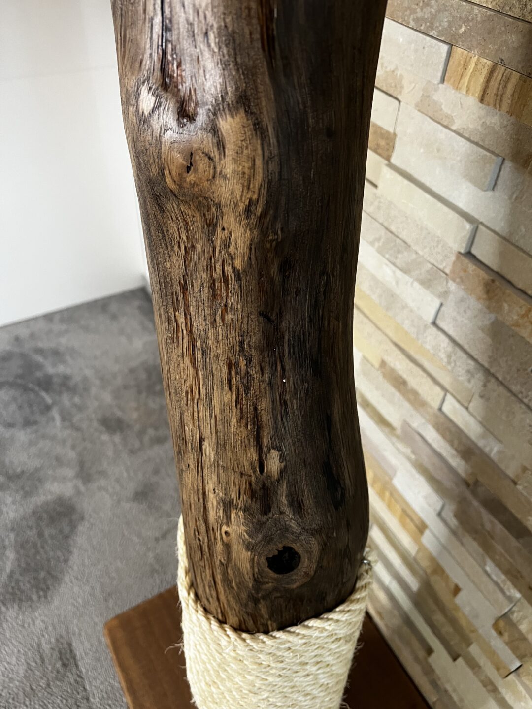 Kočičí strom Dařbuján - Image 6