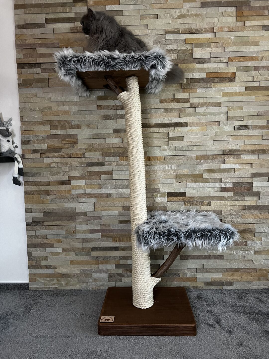Kočičí strom Bobík