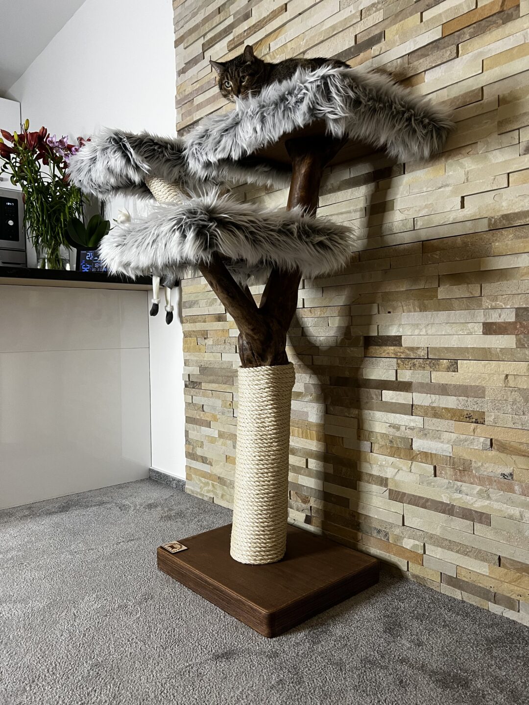 Kočičí strom Dominika - Image 7