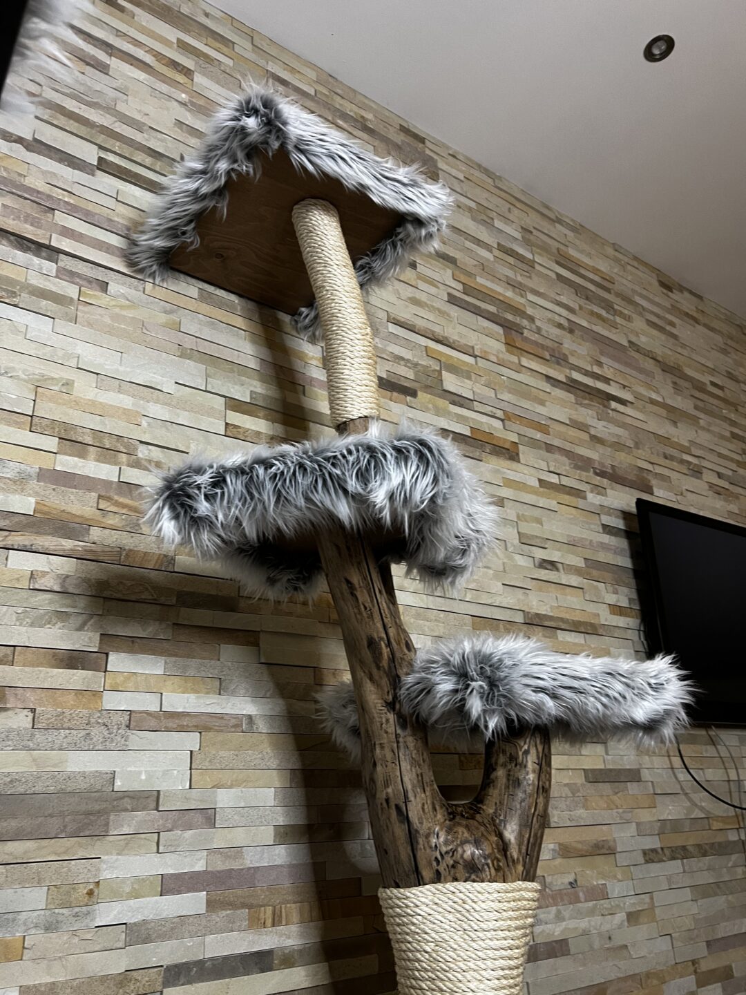Kočičí strom Petr - Image 4