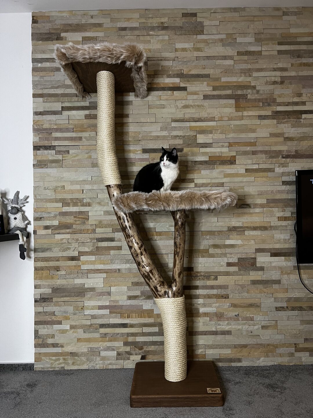 Kočičí strom Mia