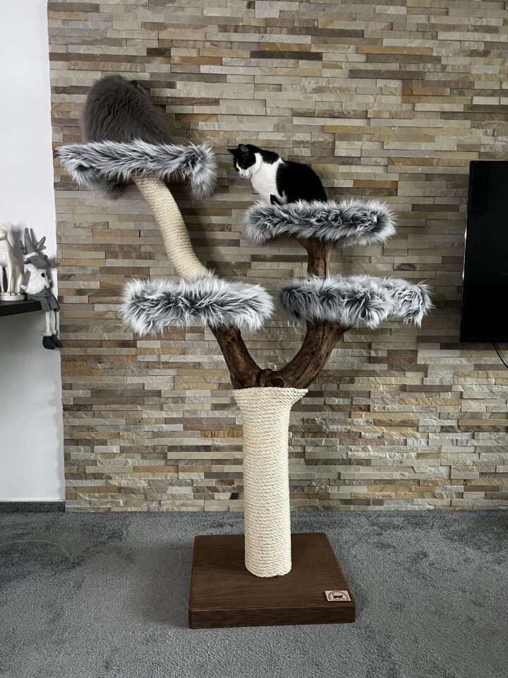 Kočičí strom Oldřich