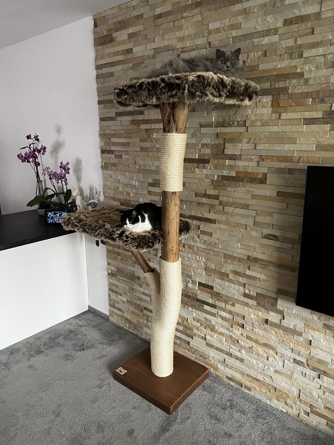 Kočičí strom Jaromír - Image 5