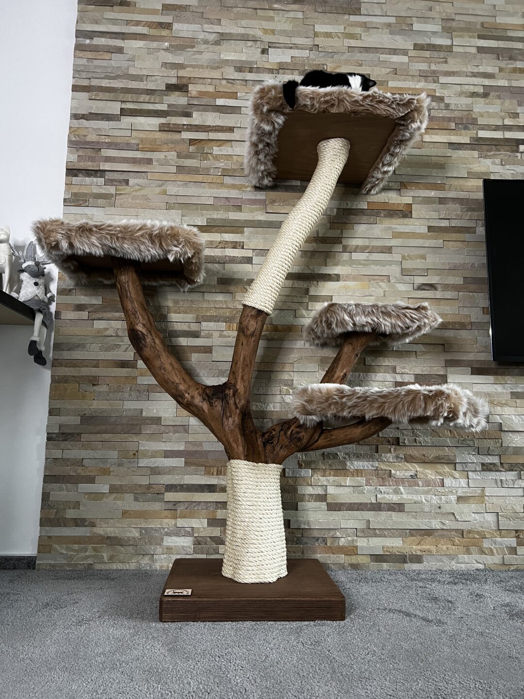 Kočičí strom Kraken - Image 3