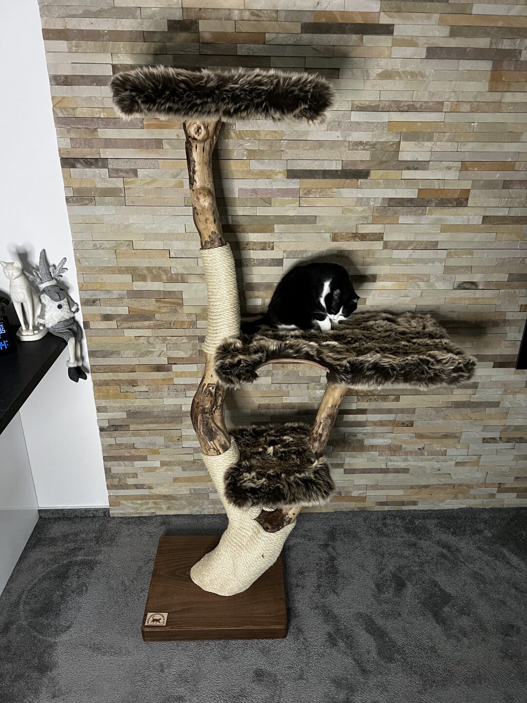 Kočičí strom Pohodinda - Image 3