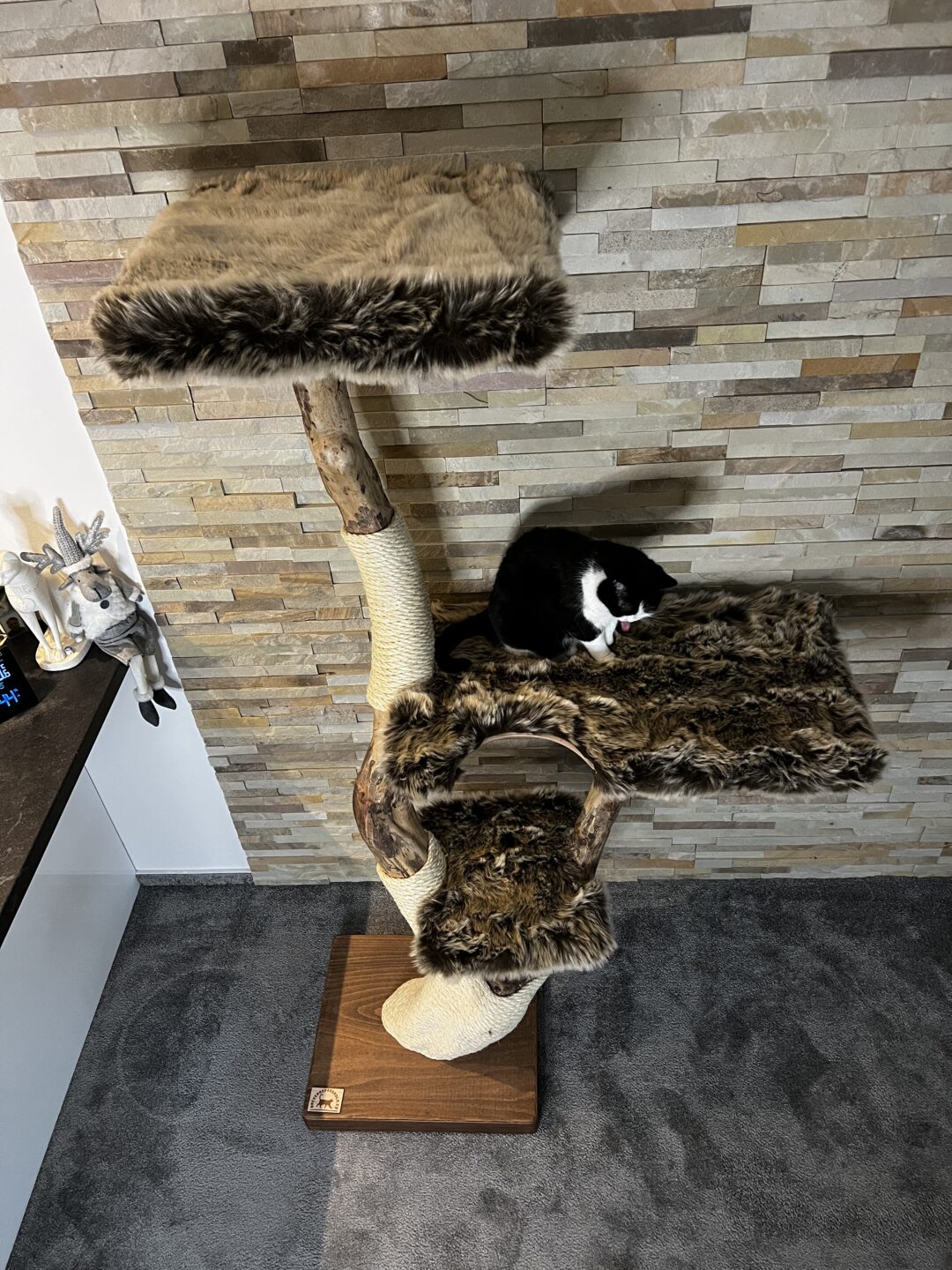 Kočičí strom Pohodinda - Image 6