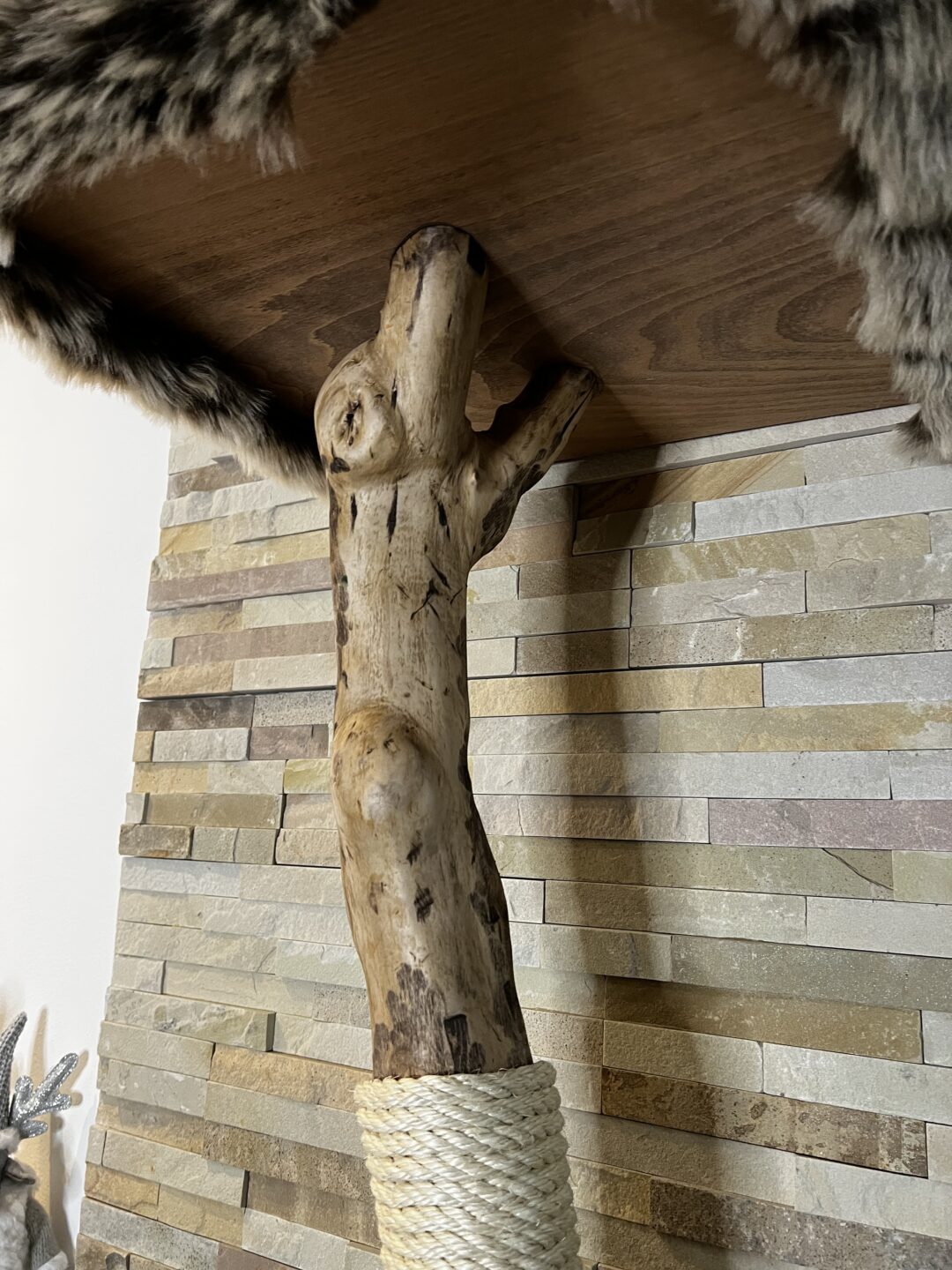 Kočičí strom Pohodinda - Image 11