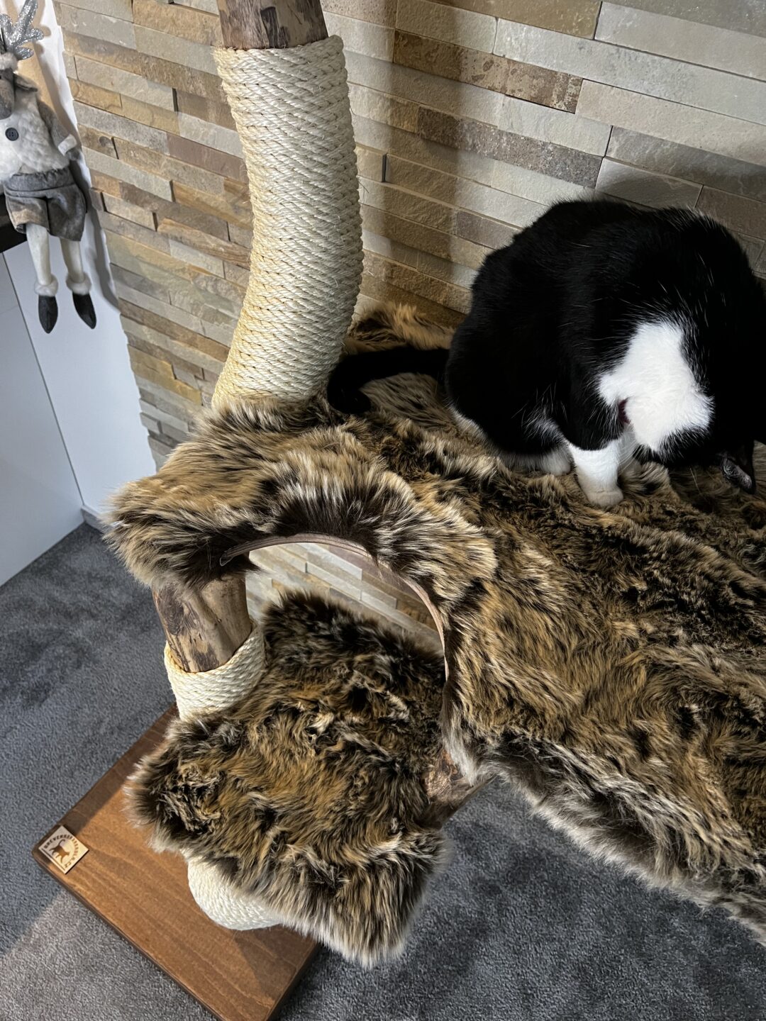 Kočičí strom Pohodinda - Image 12