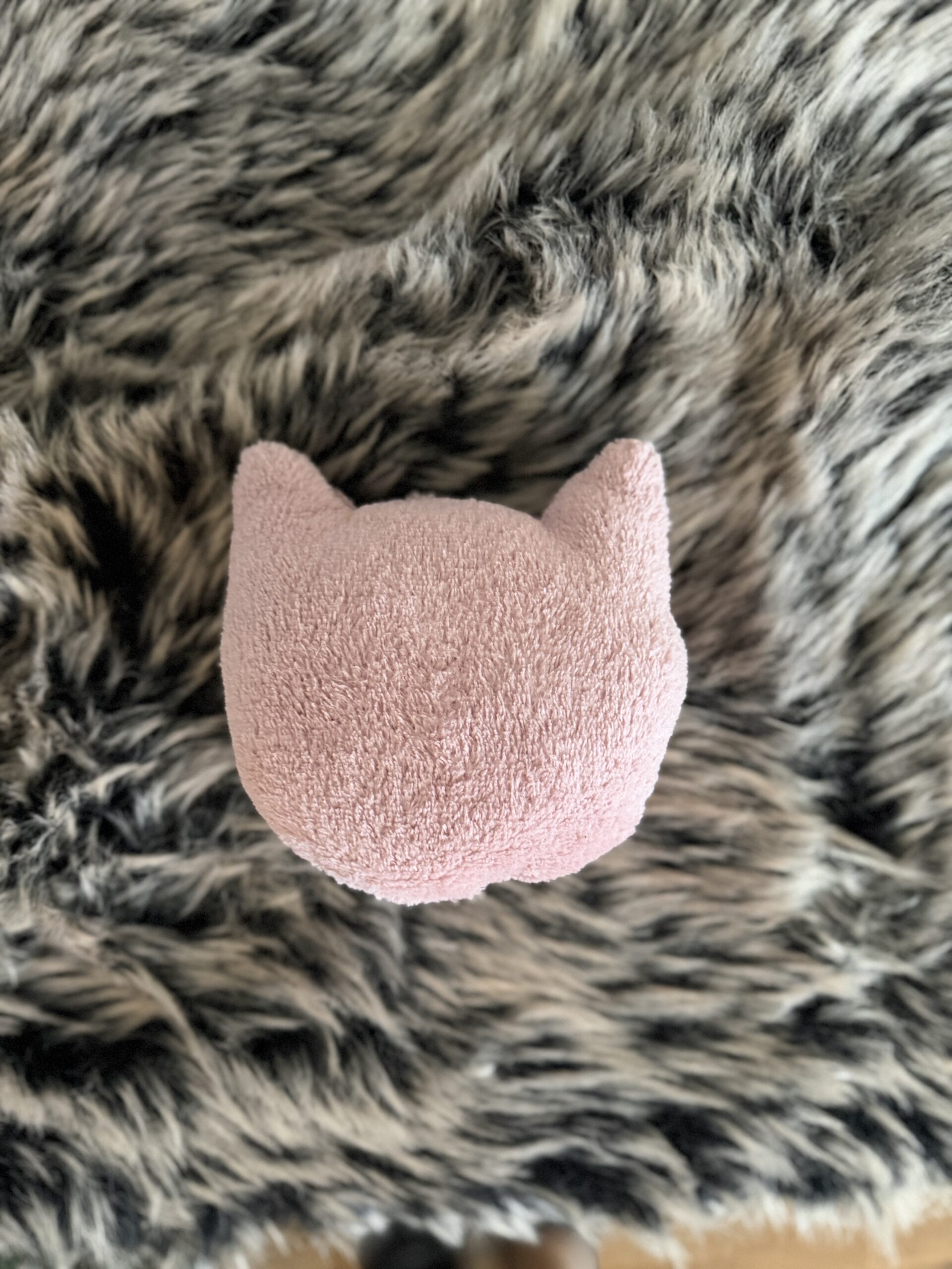 Kočičí hračka se šantou