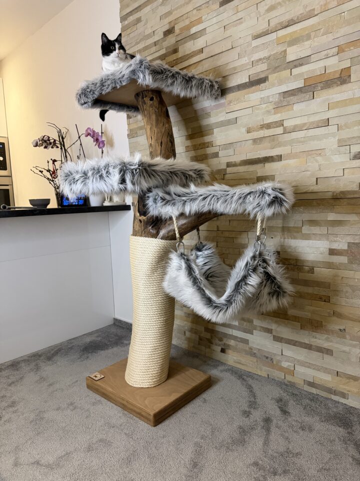 Kočičí strom Houpačka