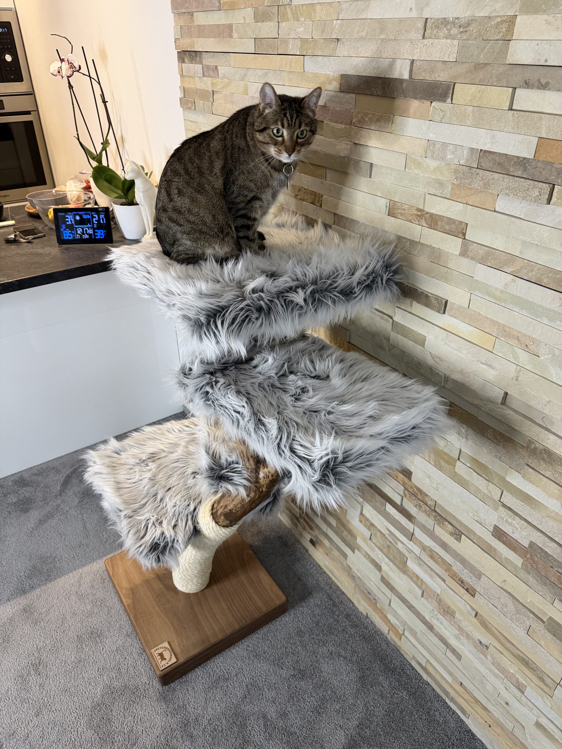 Kočičí strom Aria - Image 8