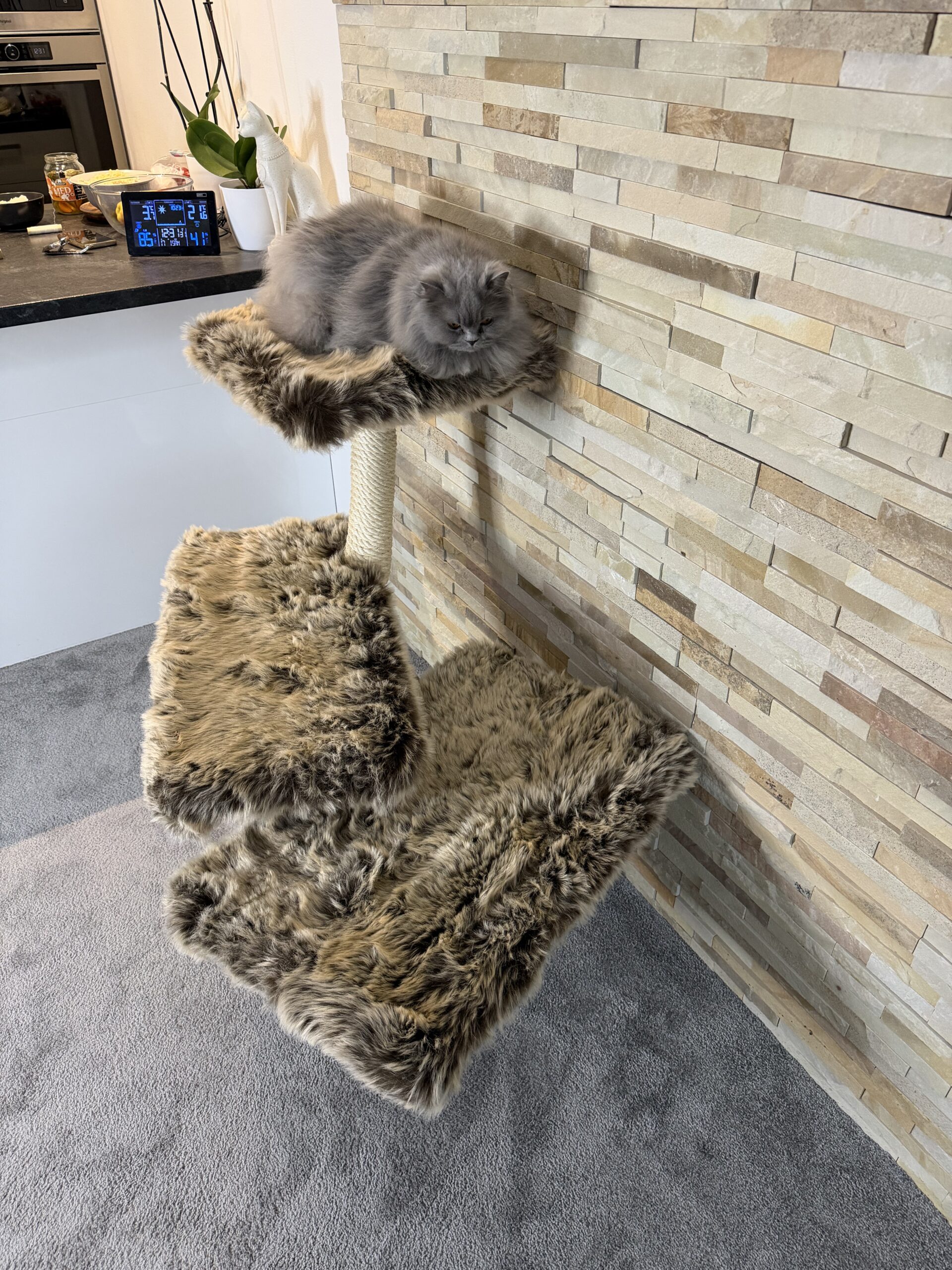 Kočičí strom Koťátko - Image 4