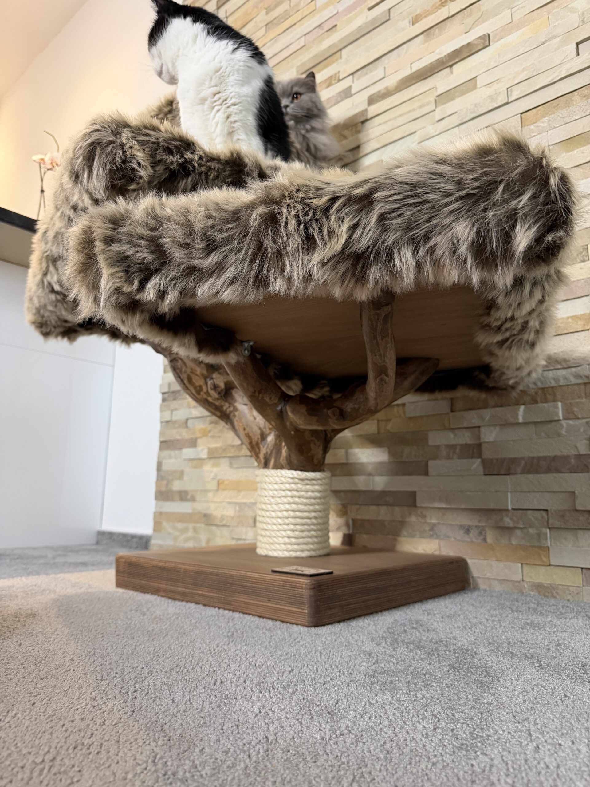 Kočičí strom Koťátko - Image 7