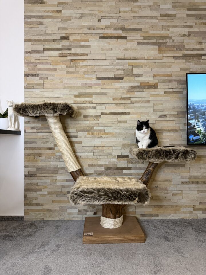 Kočičí strom Drápek