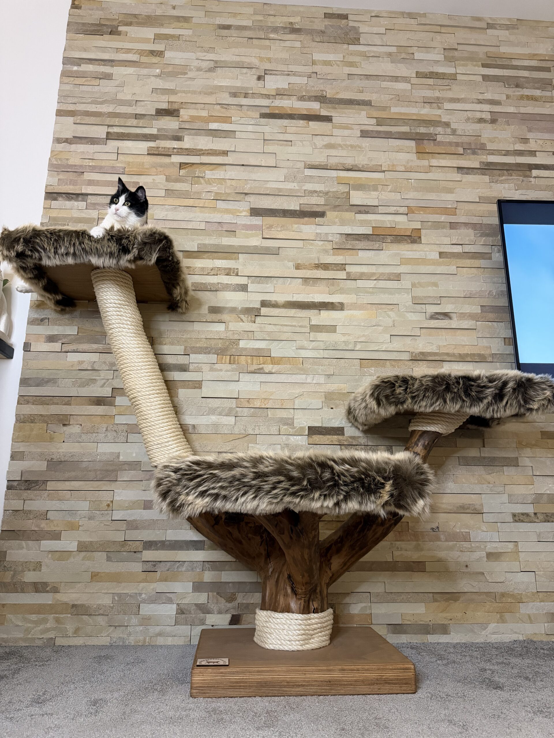 Kočičí strom Drápek - Image 3