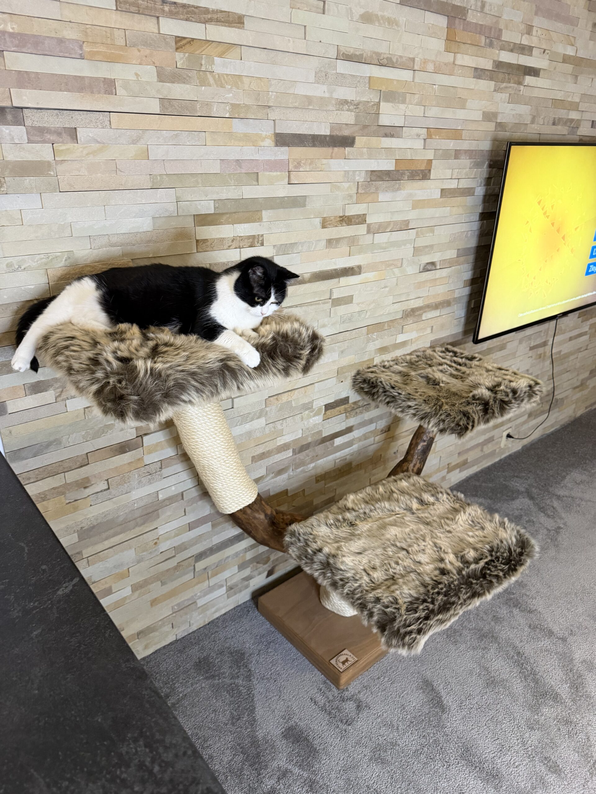 Kočičí strom Drápek - Image 6