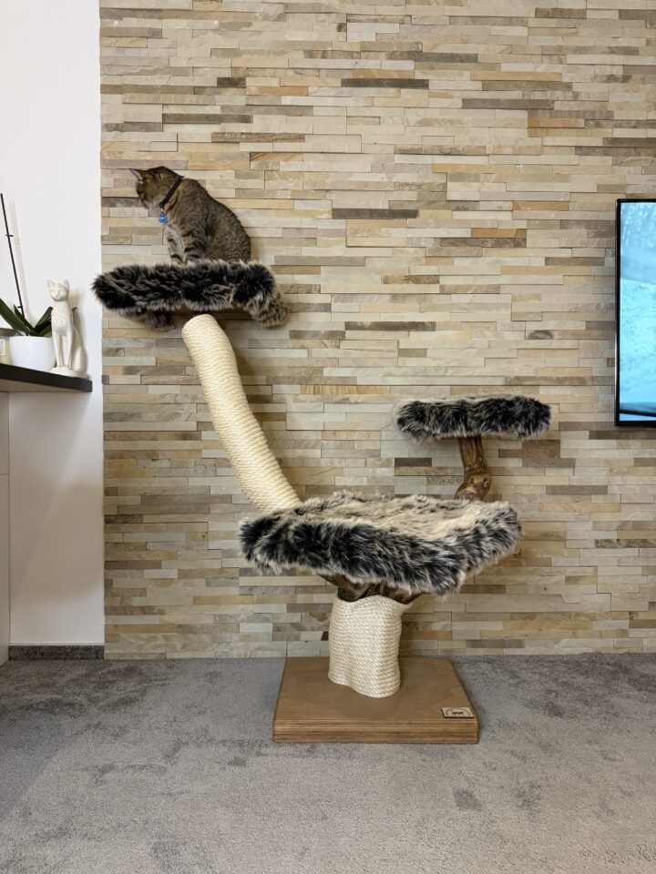 Kočičí strom Bella