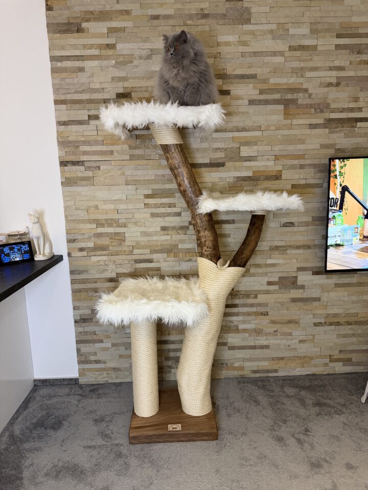 Kočičí strom Gandalf II