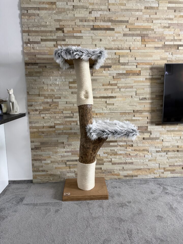 Kočičí strom Myšák