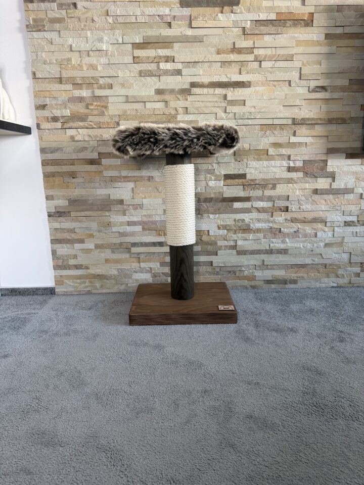 Kočičí strom Oxana