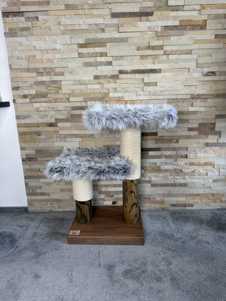 Kočičí strom Edgar