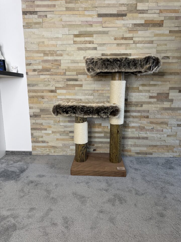 Kočičí strom Quido